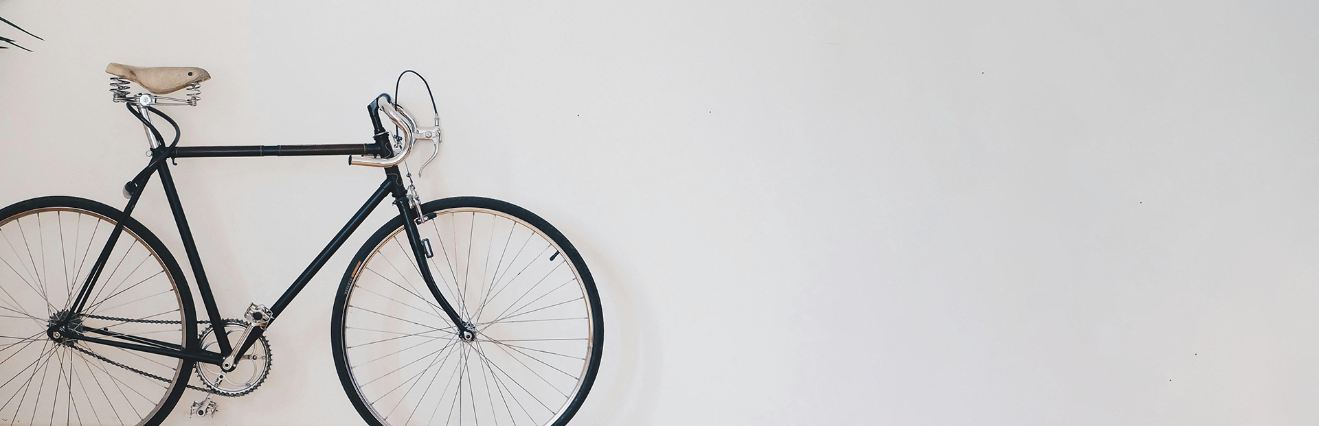 Black vintage bicycle mounted