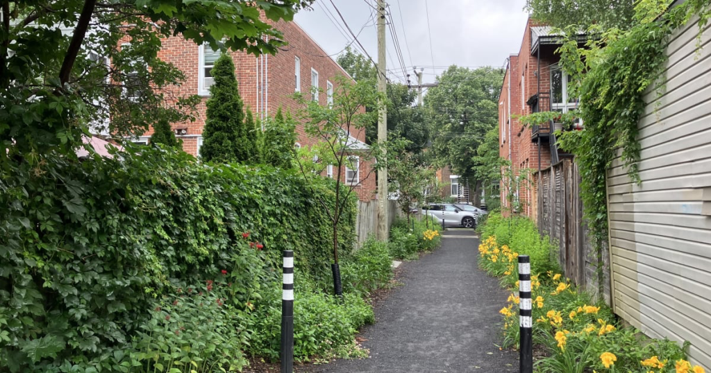 a narrow paved path lined with yellow flowers and green shrubs runs between brick buildings and a wooden fence on a cloudy day—one of the hidden gems montreal has to offer for those seeking spots off the beaten path.
